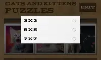 Mèo và Kittens Puzzles Screen Shot 2