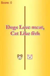 Cat Eat Fish - Dog Love Meat Screen Shot 0
