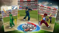 Cricket Chơi 3D: Live The Game Screen Shot 5