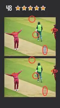 Spot the Differences - Cricket World Cup 2019 Screen Shot 3