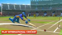 Real World Cricket 18: Cricket Games Screen Shot 0