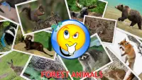 Animals for Kids Screen Shot 4