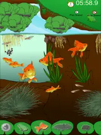 Hidden Fish Screen Shot 7