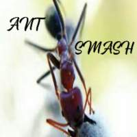 Ant Smash