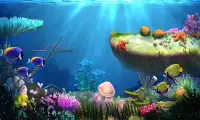 Mon poisson 3D (aquarium 3D) Screen Shot 6