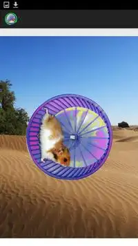 Hamster In a Wheel Desert Screen Shot 1