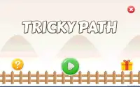 Tricky Path Screen Shot 7