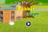 Escape Game-Rabbit Escape Screen Shot 0