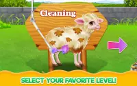 Baby Sheep Care Screen Shot 3