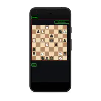 Chess Memory Screen Shot 1