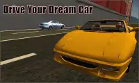 Real City Car Driver 3D Sim Screen Shot 2