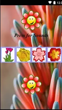Flower Garden Games Free: Kids Screen Shot 7