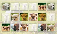 Dogs Memory Game Free Screen Shot 3