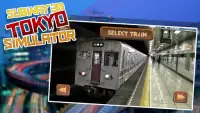 Metro de Tokio 3D Simulador Screen Shot 1