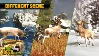 Big Deer Hunter Screen Shot 0