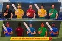 World Cricket International Fight Tournament Screen Shot 3