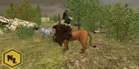 Wild Lion Simulator 2016 Screen Shot 2