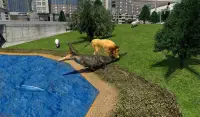 Angry Lion City Attack : Animal Hunting Simulator Screen Shot 9