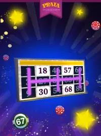 Video Bingo - Ipanema Screen Shot 8