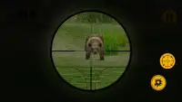 Bear Hunting Challenge Screen Shot 2