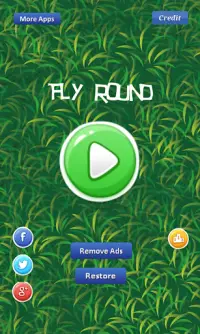 Fly Round - avoiding eagle Screen Shot 2