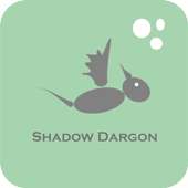 Shadow Dragon