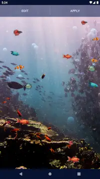 Ocean Fish Live Wallpaper 4K Screen Shot 3