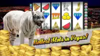Vegas Tiger Casino Slots 777 Screen Shot 0