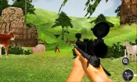 Jungle Animals Hunt Reloaded Screen Shot 5