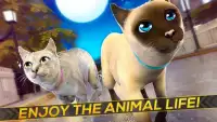Meow! Cute Kitty Cat 🐈 Puppy Love Pet Simulator Screen Shot 6