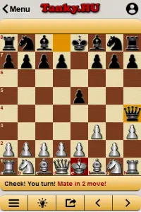 Chess Pro Screen Shot 1