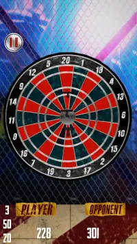 Darts Challenge Screen Shot 0