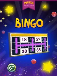 Vídeo Bingo Ipanema Screen Shot 6