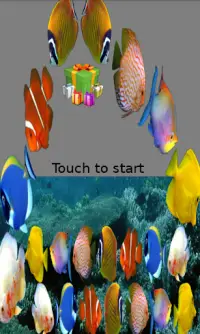 Fish Link Screen Shot 0