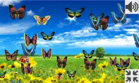 Butterflies (Breathing Games) Screen Shot 0