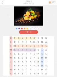 10x10 Word Search Screen Shot 7