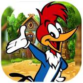 Woody Super Woodpecker Adventure Runner world