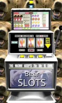 Bear Slots - Free Screen Shot 0