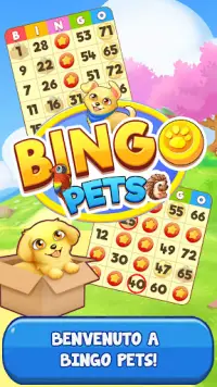 Bingo: Free the Pets Screen Shot 0
