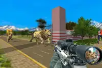 Sniper Animal Hunting Challenge 2019 Screen Shot 13