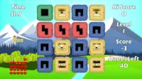 Puzzle Quads Free Screen Shot 13