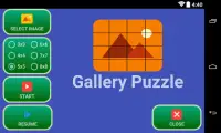 Gallery Puzzle Screen Shot 0