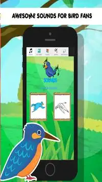 bird games for kids free angry Screen Shot 4