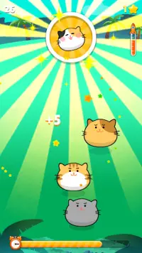 Crazy Kitty Tap Screen Shot 2