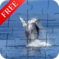 Dolphin Jigsaw Puzzle