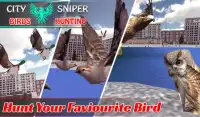 City Sniper Birds Hunting Screen Shot 0