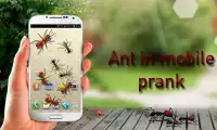 Ants in Mobile Prank Screen Shot 0