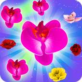 Blossom Candy Paradise 2