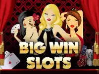 AA Las Vegas Casino Slots HD Screen Shot 5
