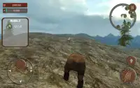 Wild Bear Attack Simulator 3d Screen Shot 1